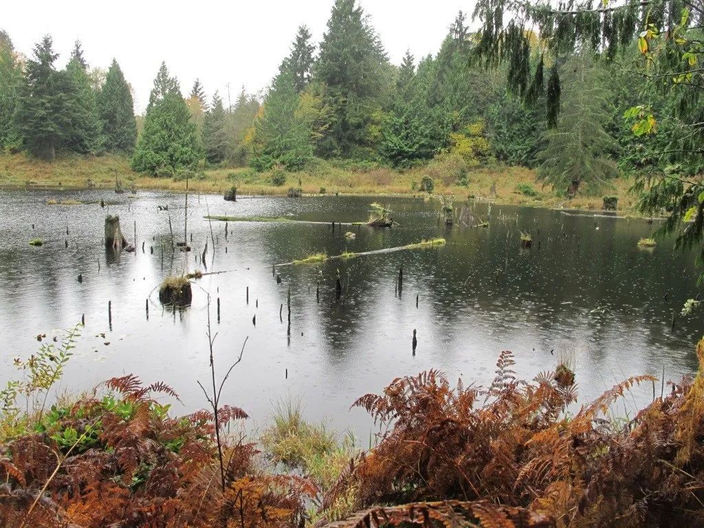 从温哥华开车到西雅图沿途美景,西雅图到温哥华沿途风景