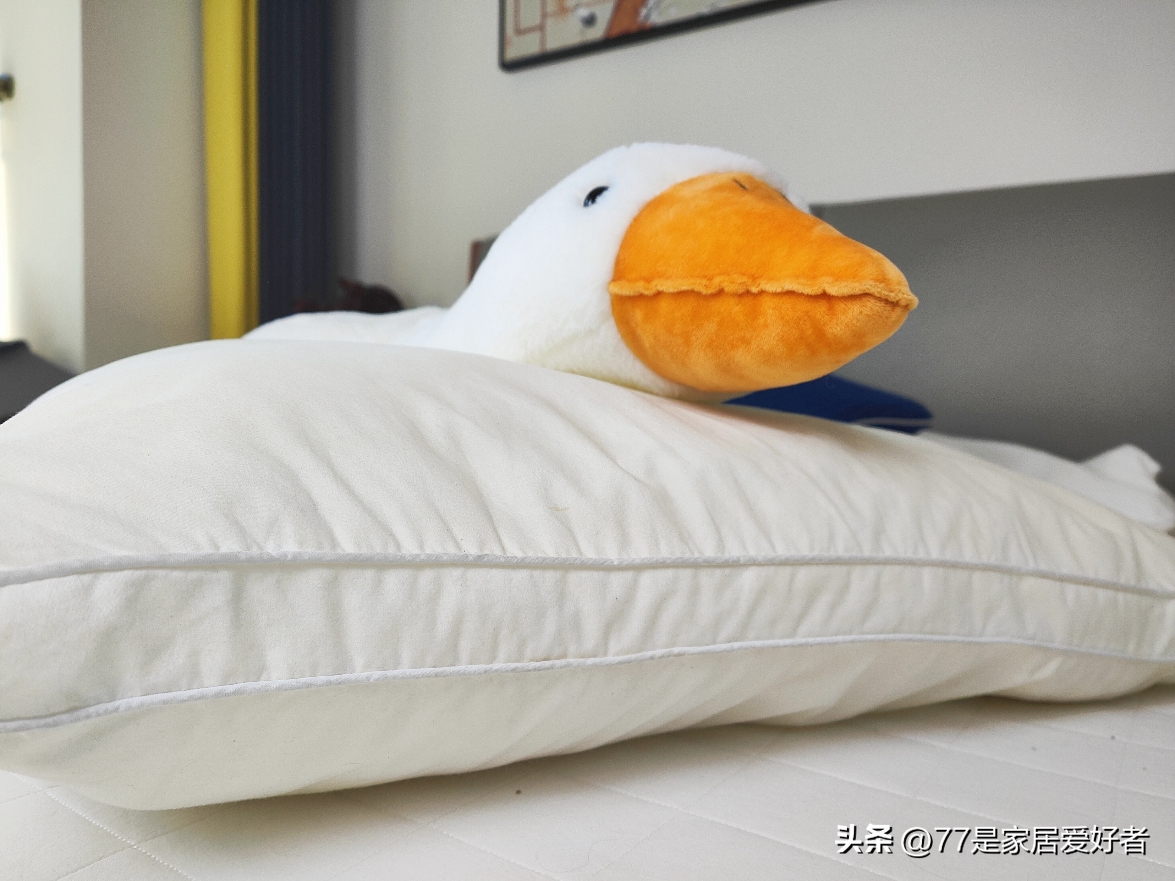 选一个舒服的枕头真的太有必要了,什么样的枕头睡得舒服又便宜