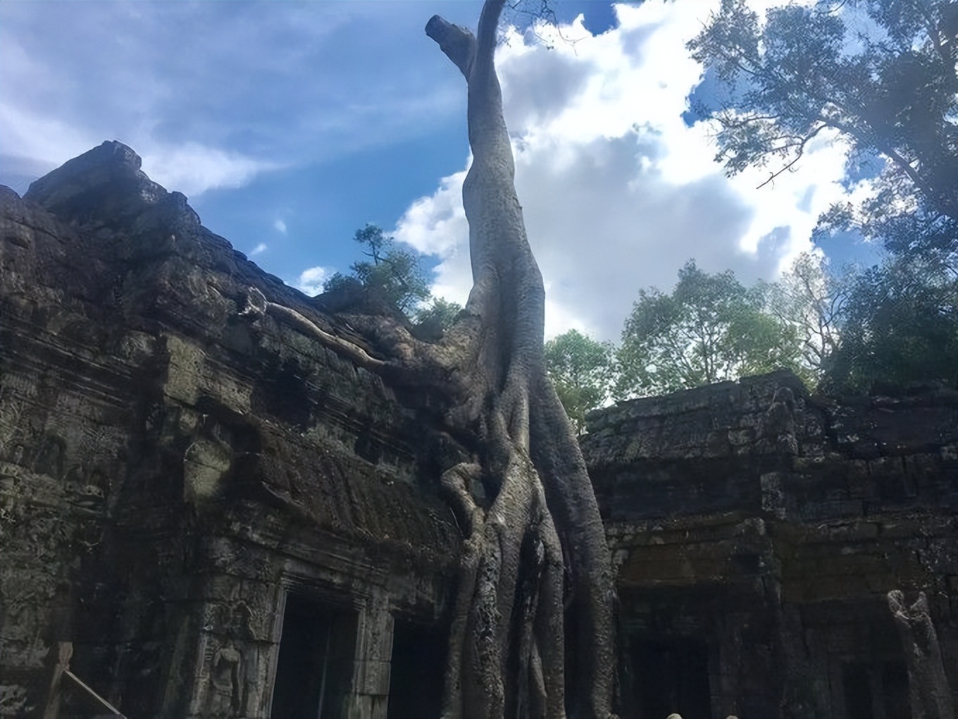 柬埔寨旅行记的真实经历,柬埔寨暹粒行