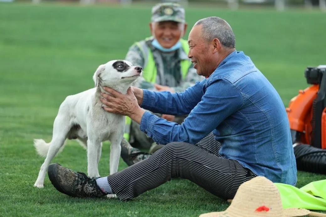 东南大学的短板在哪里,百年学府东南大学