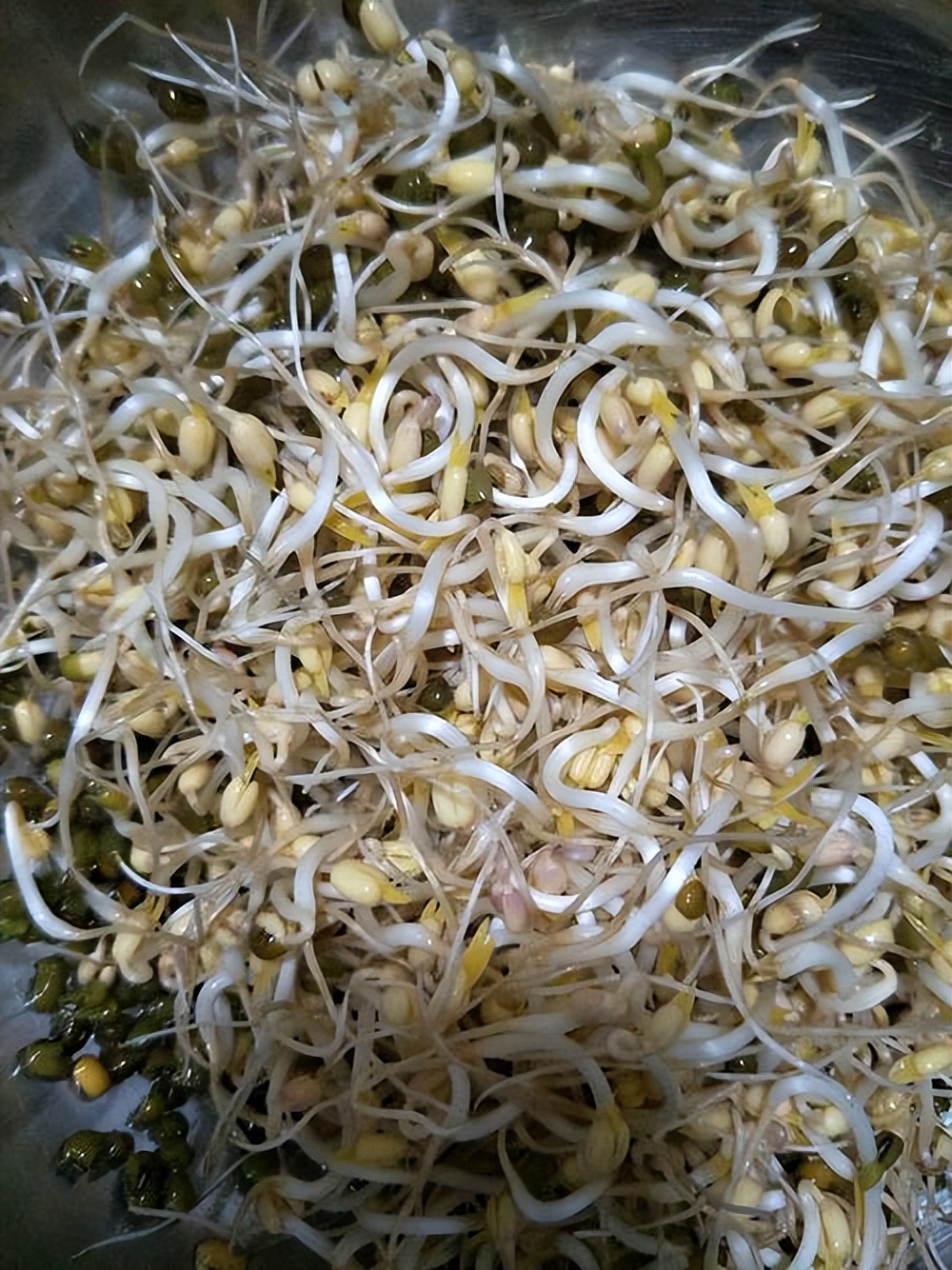 易经4-5全解,易经讲解2024