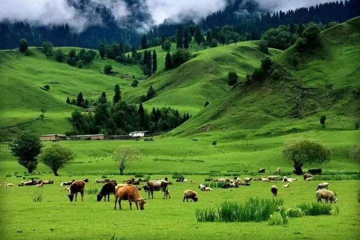 常温超导是伪科学吗,常温常压超导体对什么行业影响