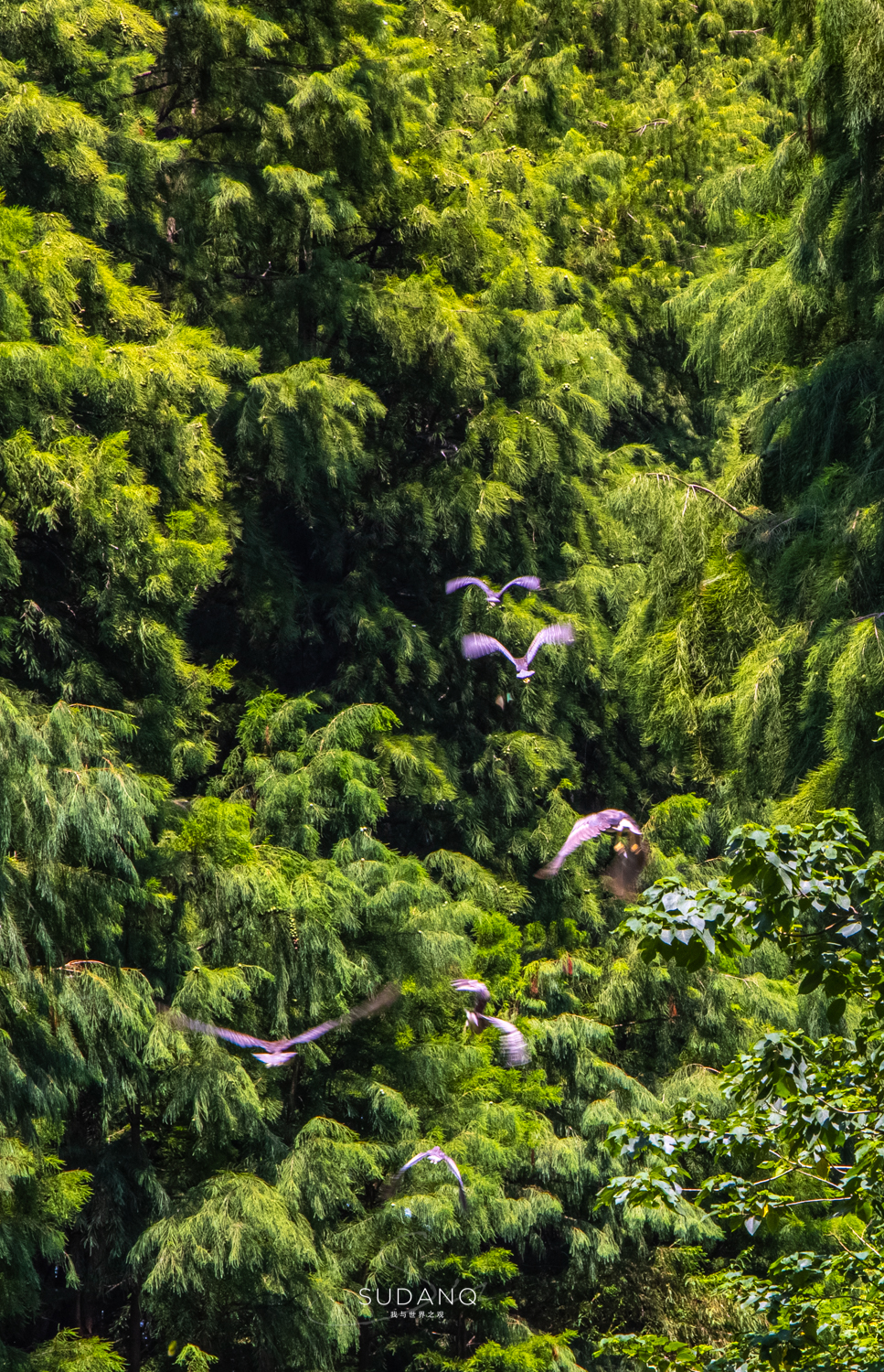 苏州各县到底有多强,苏州究竟有多强