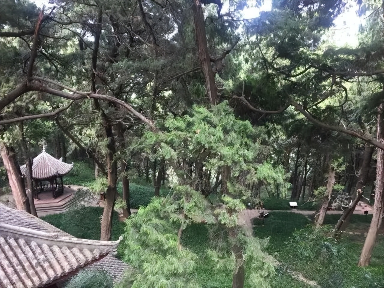 “植柏表道”造福后人，猛张飞过梓潼石头踹出碗大的坑