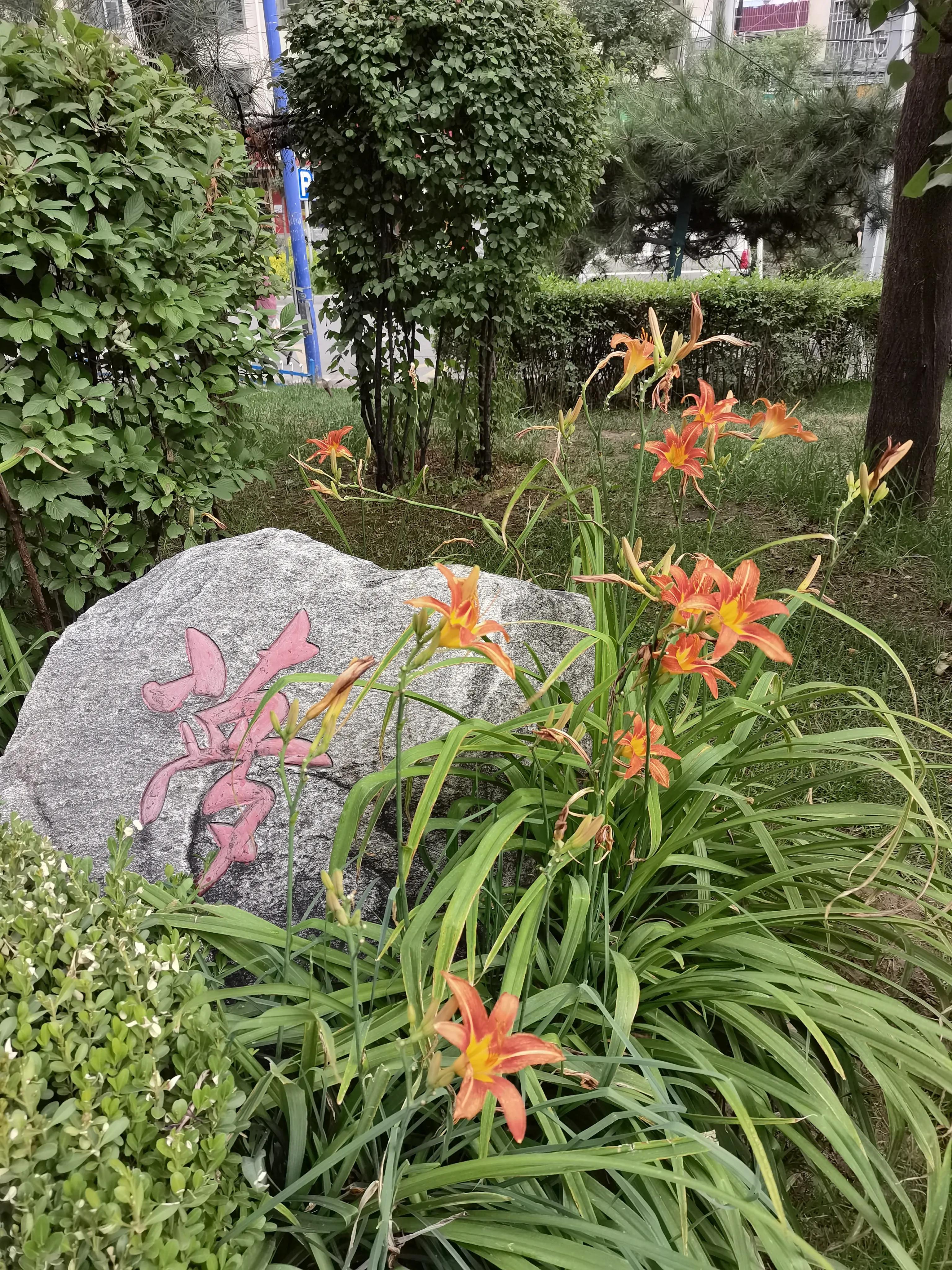 兰州至重庆自驾游沿途的住宿,兰州到青海湖住宿