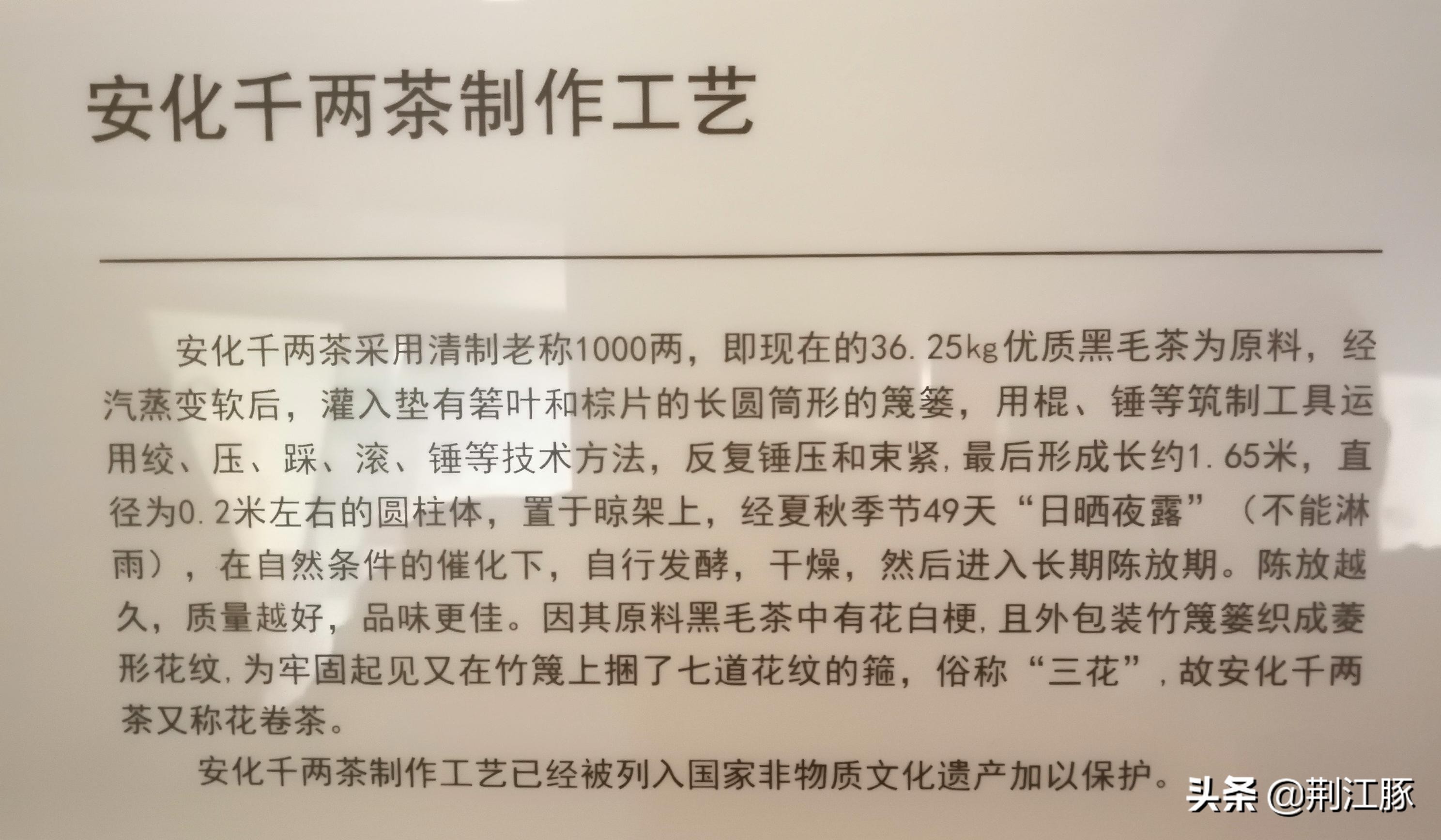 时隔215天,我再次来到这里,了解安化黑茶的前世今生
