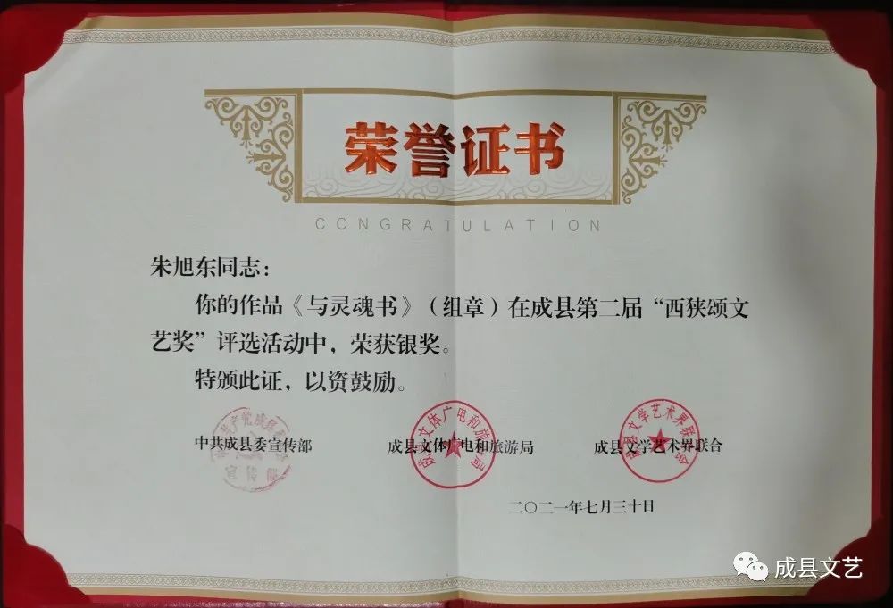 成县第二届“西狭颂文艺奖”银奖获得者作品展示