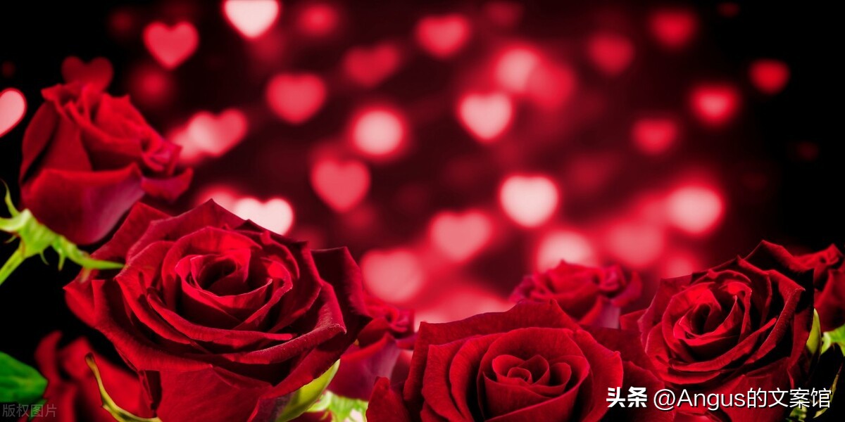 情人节表白语录经典短句文案,情人节表白文案搞笑霸气