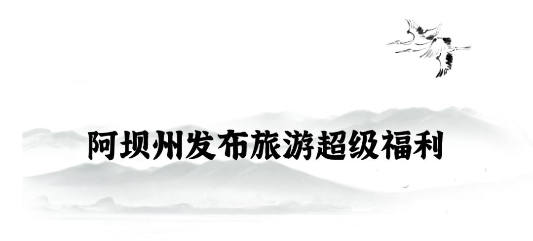 阿坝州十三个县哪个县最大,阿坝州十三个县城全景