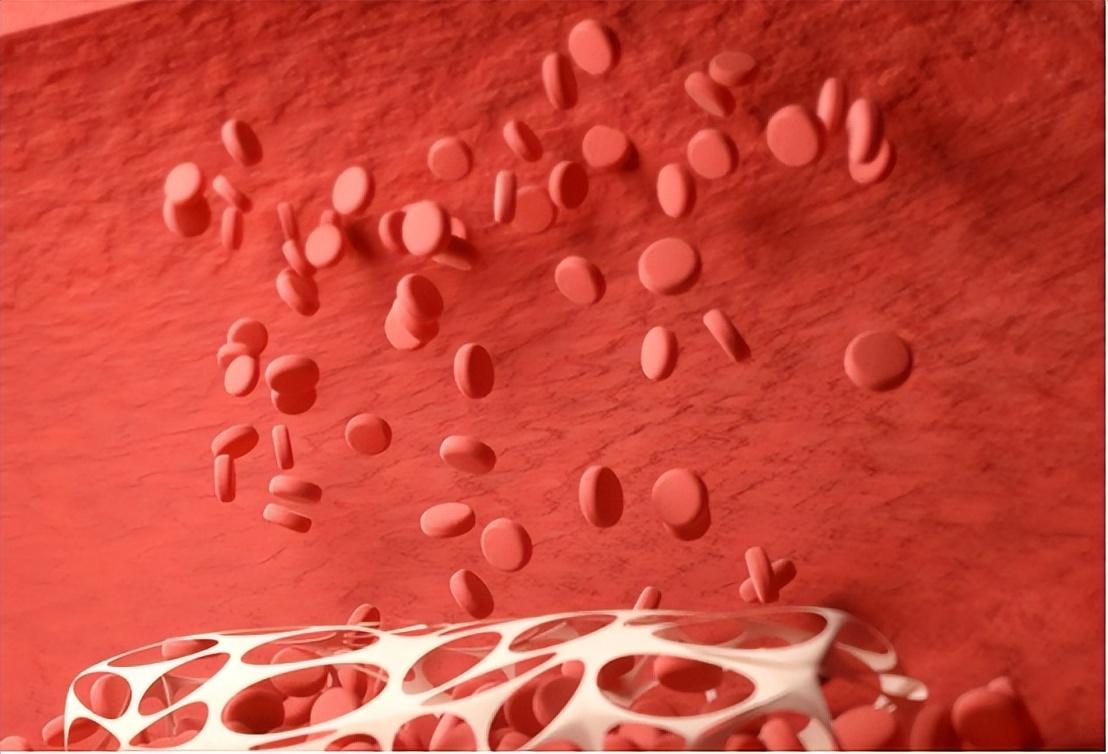 慢性肾炎治不治疗结果都是尿毒症,得了慢性肾炎平时怎么护肾