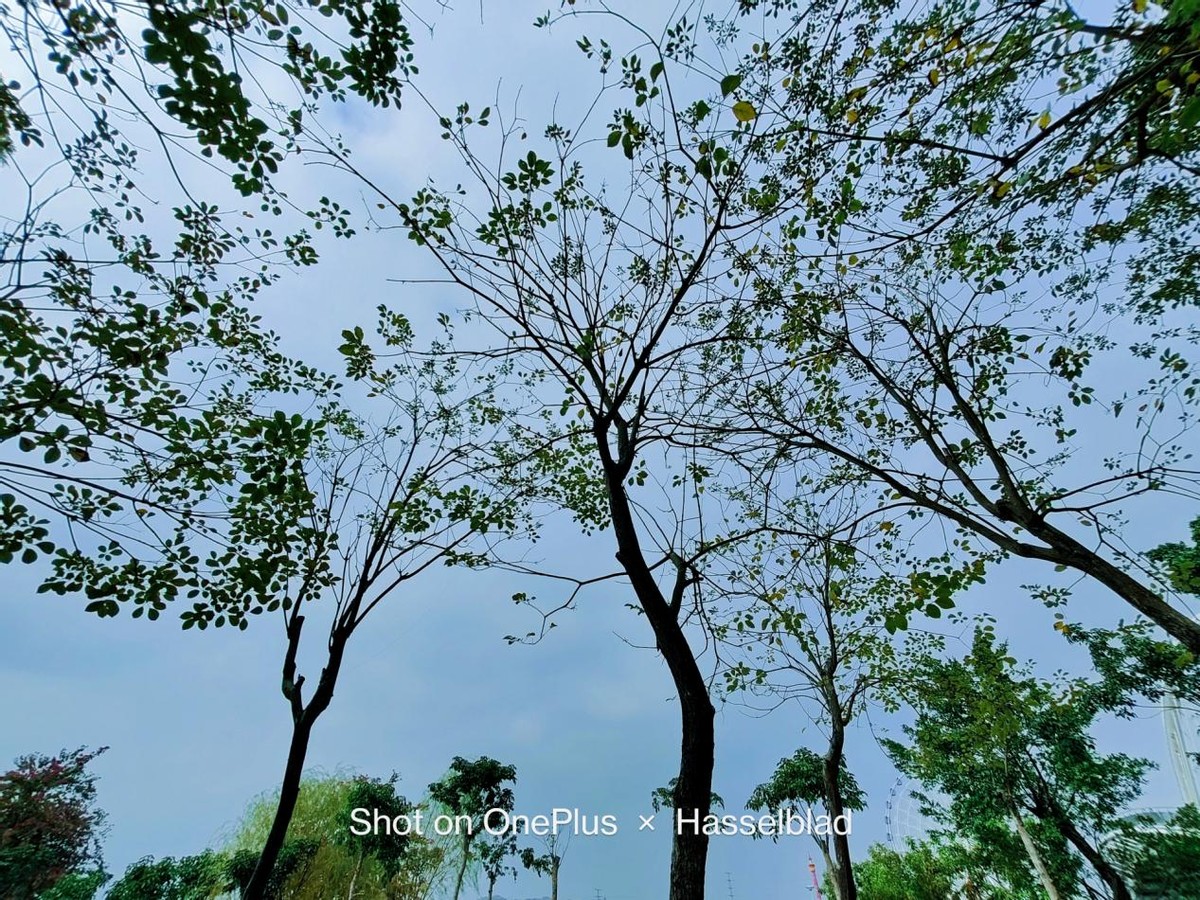 2023年推荐什么拍照手机,2023年3000左右拍照最好手机推荐