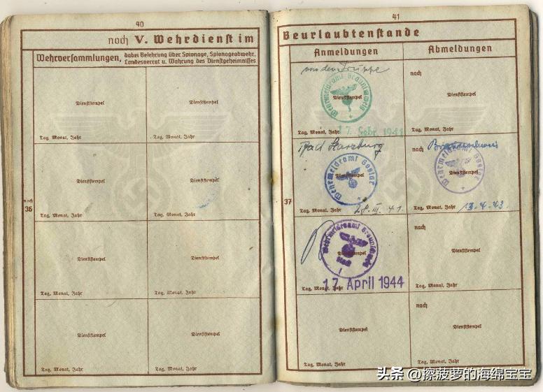 二战时德国军人的肩章,二战德国兵种领章