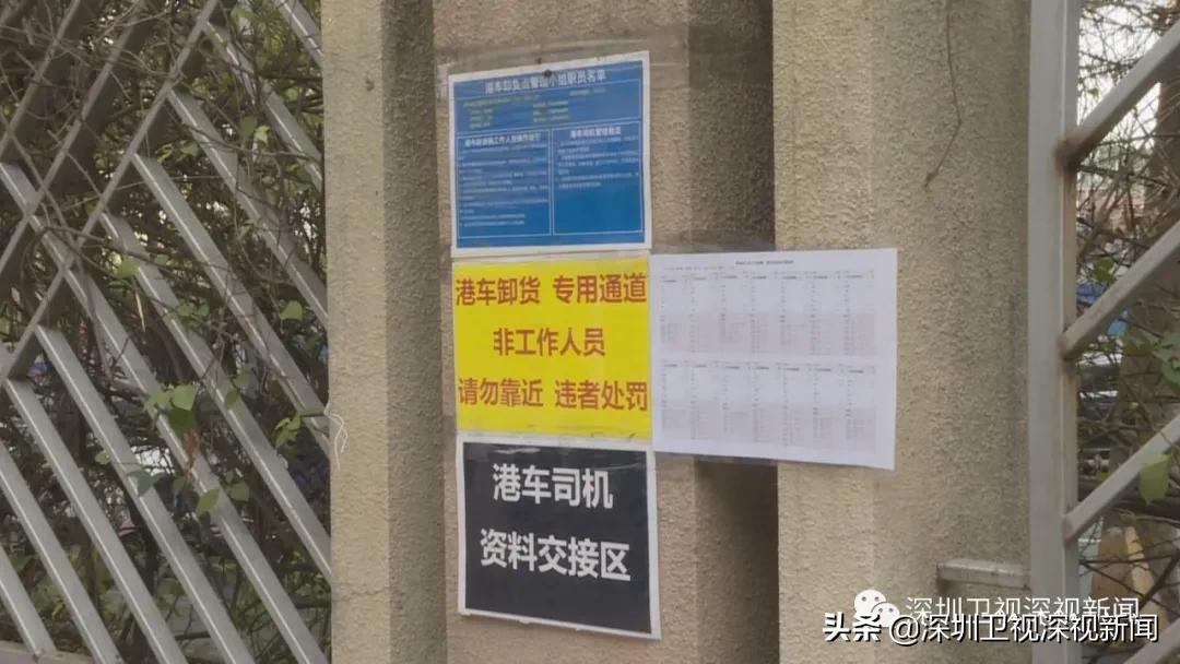 国际快递如何接收视频,接收境外快递最新政策