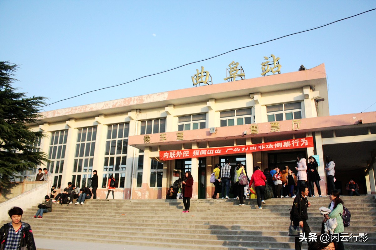 曲阜孔林有哪些历史名人的墓,曲阜孔林的墓地在哪里