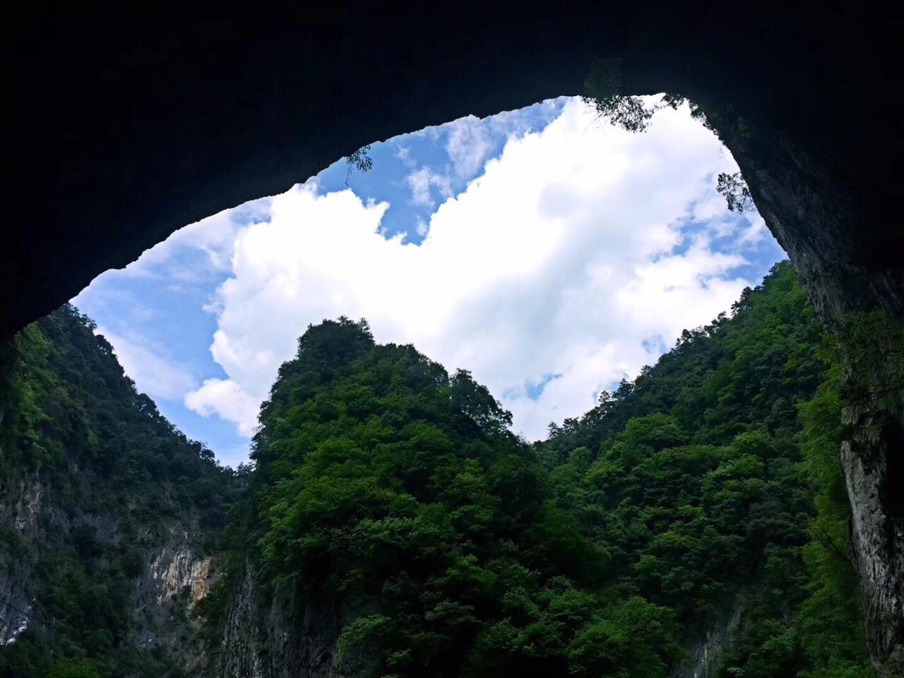 北纬23度的茶叶有什么特点,商南茶优缺点