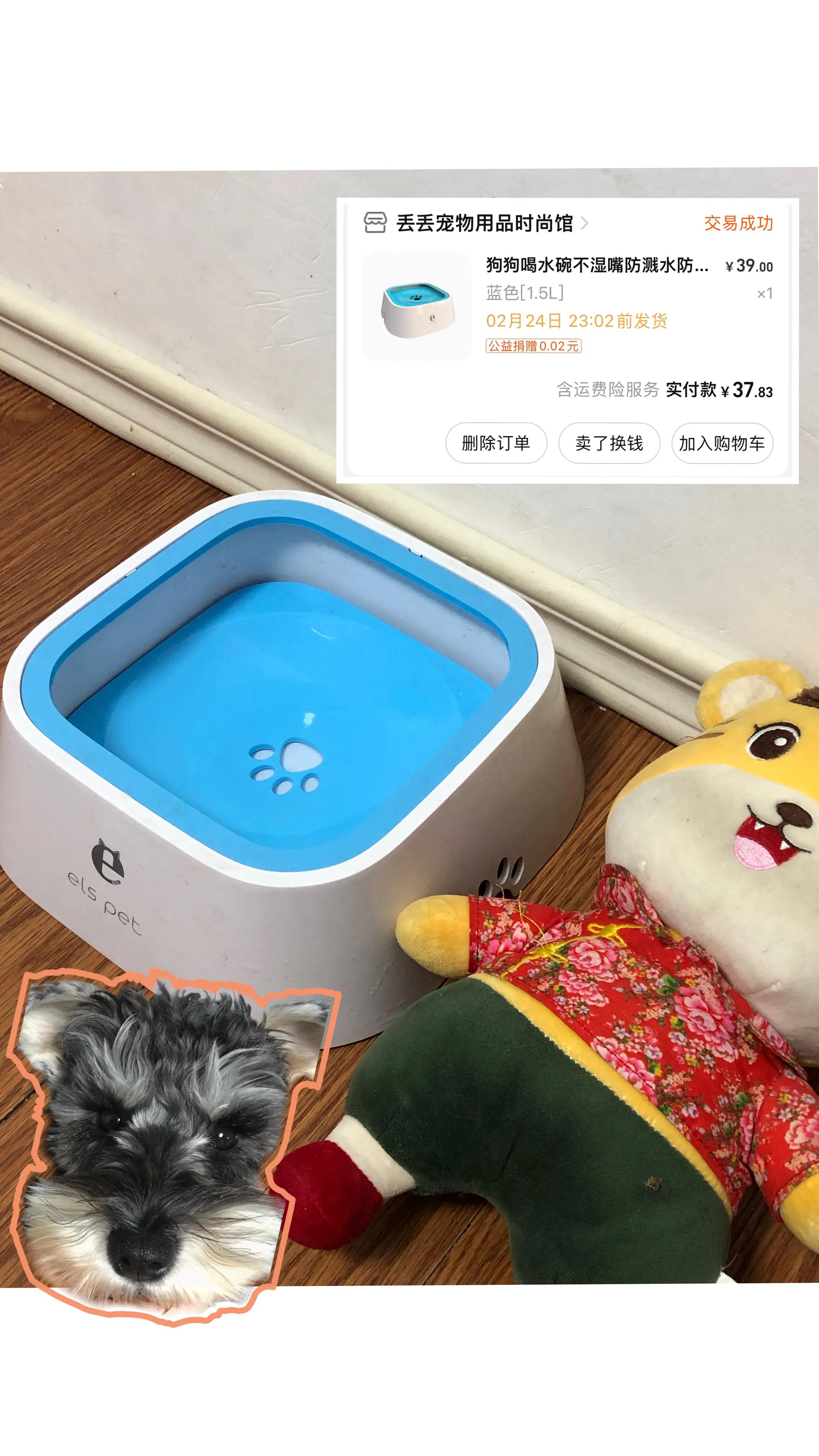 1-12月保姆级养狗指南,新手养狗保姆级教程