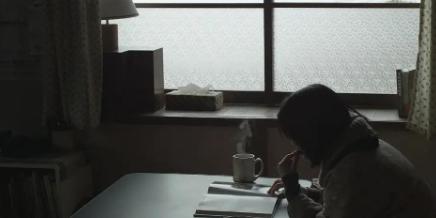 小森林四季电影,电影小森林夏秋篇