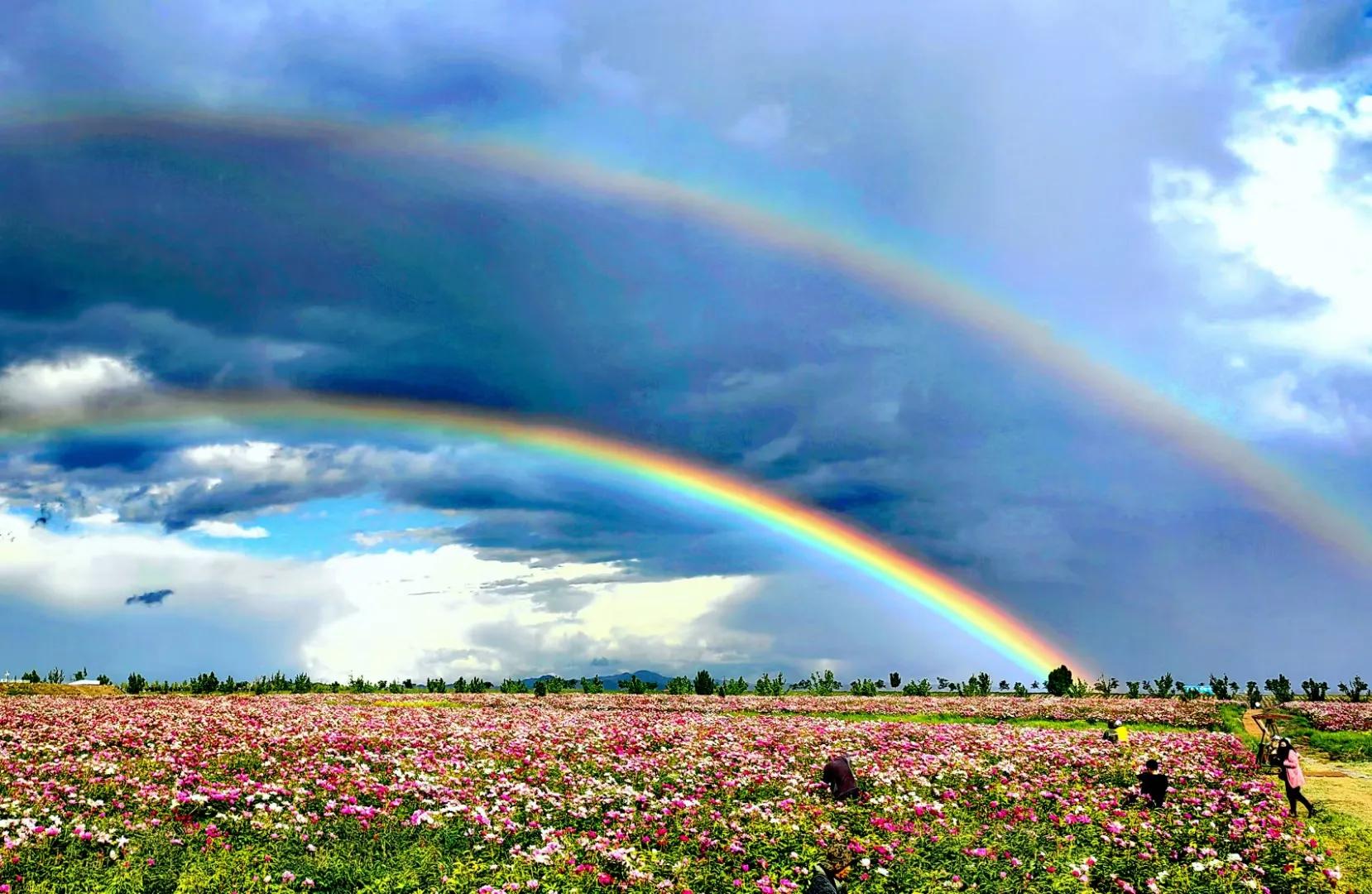 焦虑症痊愈者的忠告,从焦虑症走出来的经验同大家分享