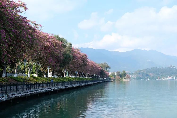 肇庆星湖岩前村,肇庆岩前村附近两日游攻略