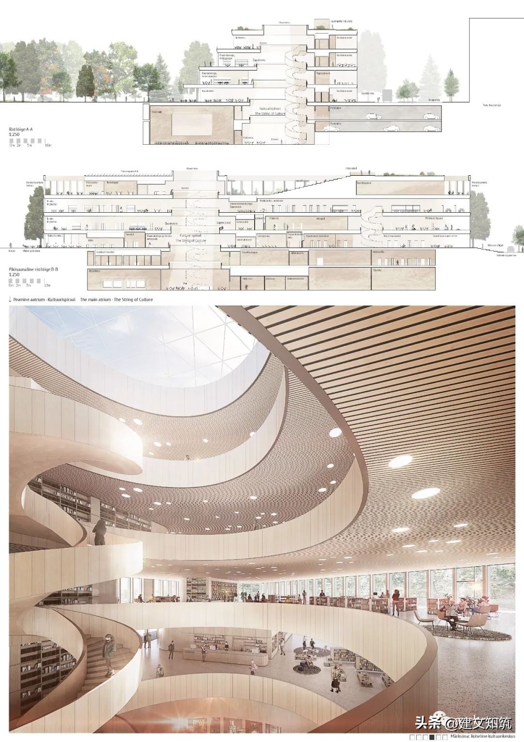 爱沙尼亚田径比赛,爱沙尼亚杯比赛结果