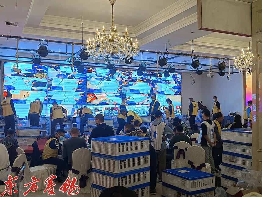 武汉福齐获奖鸽,2019武汉福齐国际集鸽名单