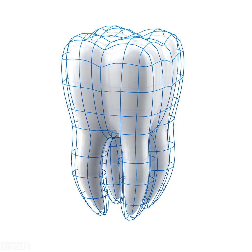 坚固恒牙：父亲寻找失踪的假牙之旅