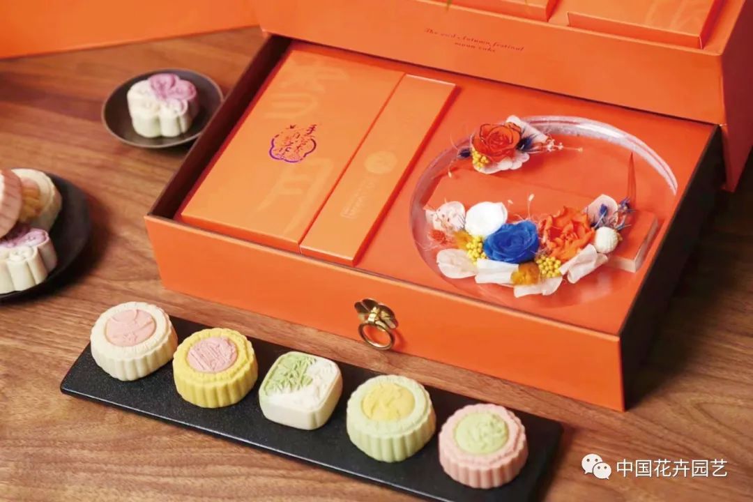 国产永生花或迎来发展新空间|“特别的花给特别的你”专题