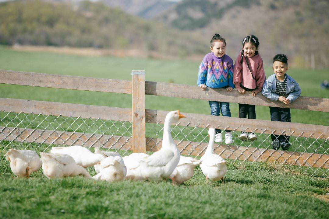 大连农业有发展吗,大连海洋渔业发展现状