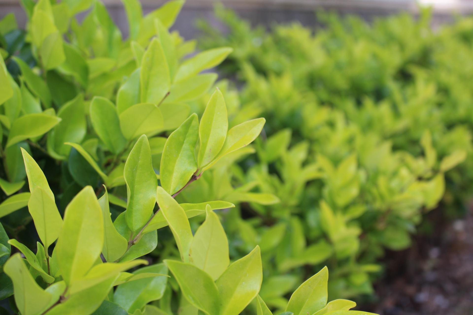 佳能100d新款价格,佳能100d同价位更有性价比的相机