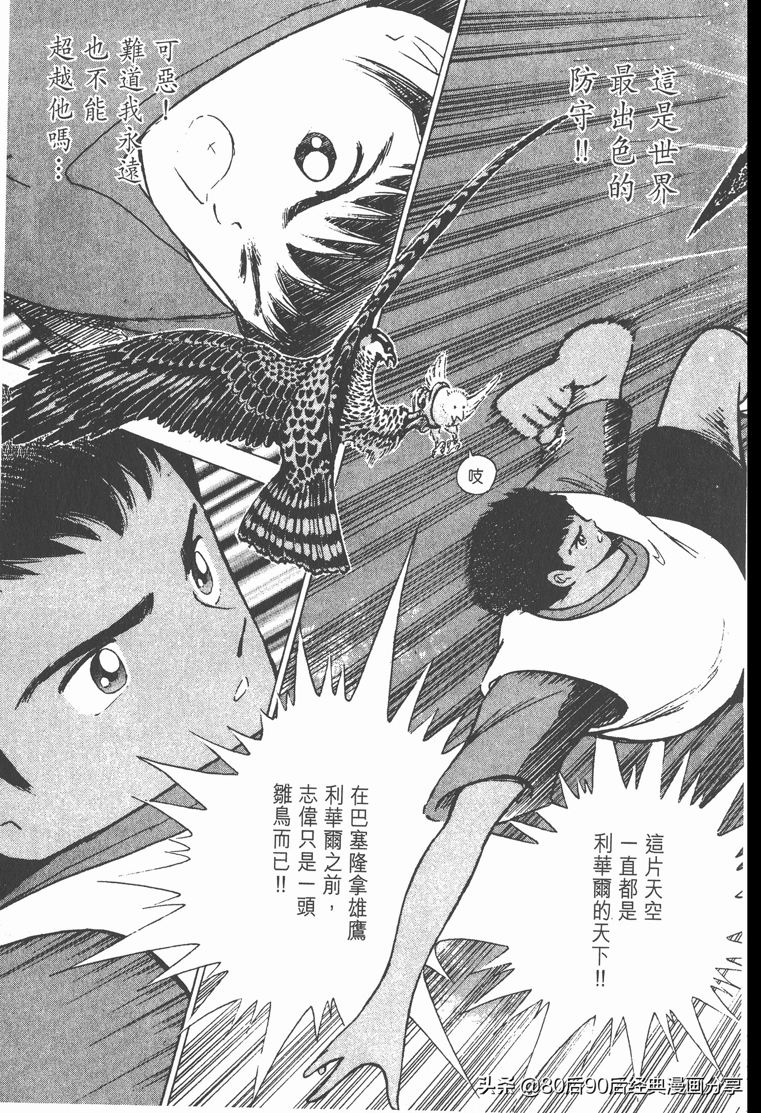 瓒崇悆灏忓皢roadto2002婕敾,roadto2002