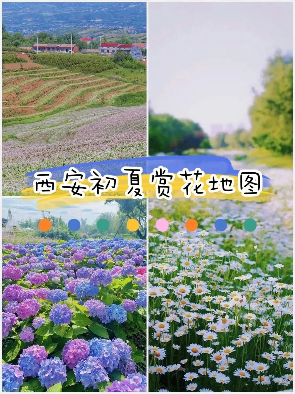 这份赏花地图请收好西安,西安周边春季赏花好去处