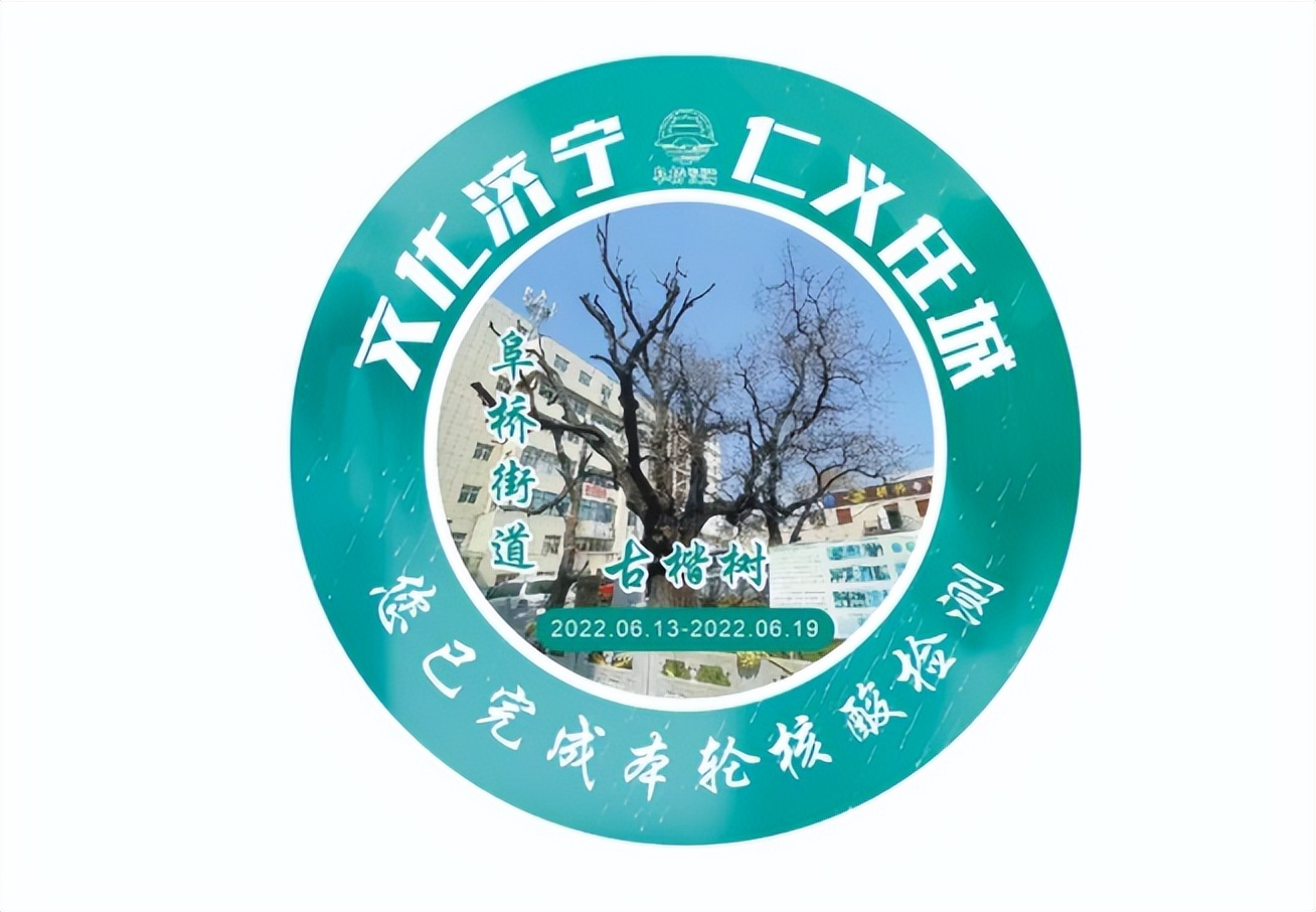 探秘！小贴纸里的大乾坤……