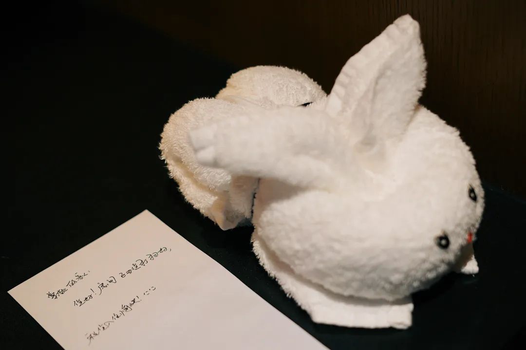 三亚打卡必住酒店之一,三亚十大必住酒店推荐排名最新