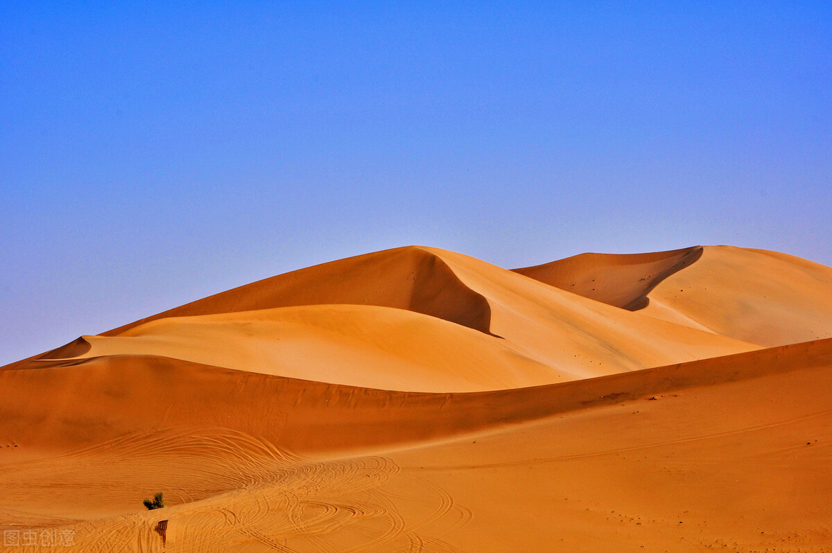 关于边塞风光的诗句只需一句,描写边塞风光的诗句请写出一句