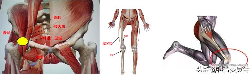 关节发出咯咯的声音,关节发出咯吱咯吱的响声怎么办