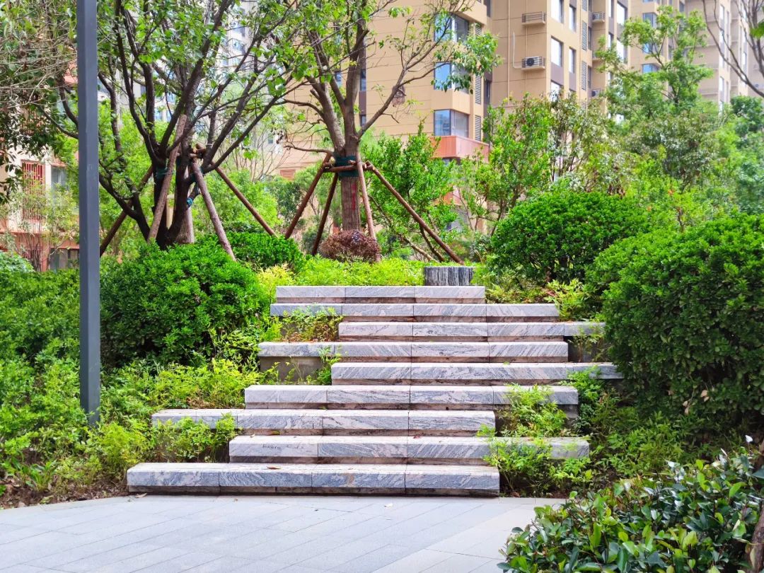 运城星河地产排名,运城星河房地产开发的楼盘