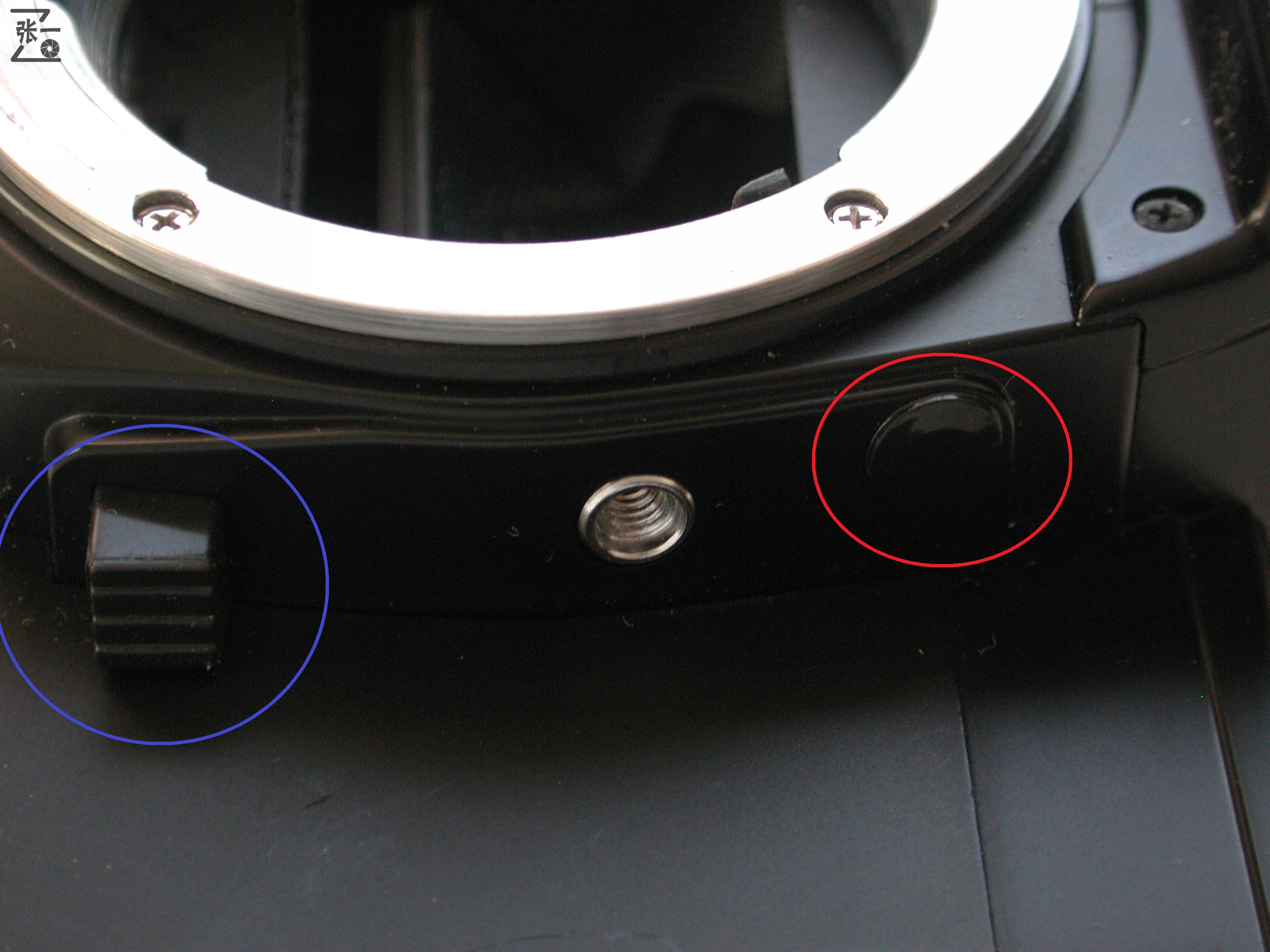 海鸥牌国产相机,海鸥相机各型号