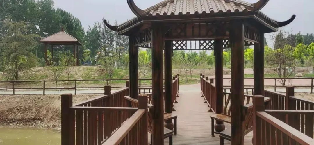 原阳县|话说夹堤儿（下）