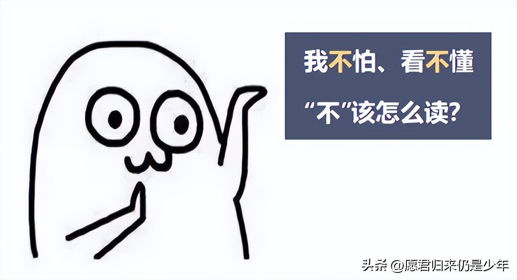 张雨绮的名字解读,张雨绮百科内容