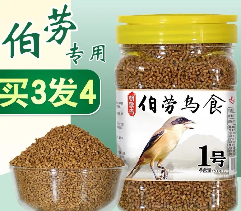 屠夫伯劳小说,伯劳屠夫鸟视频