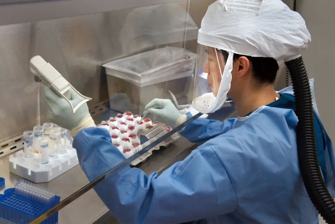 走进合成时代工厂,走进生物实验室