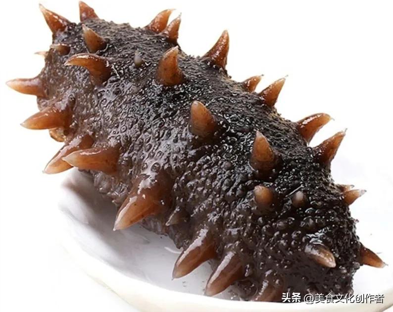 世界杯足球脚感,世界杯的冠军图