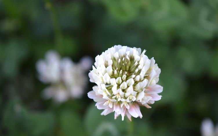 女人这样称呼你就是认定你了,女人如果对你用这几种称呼