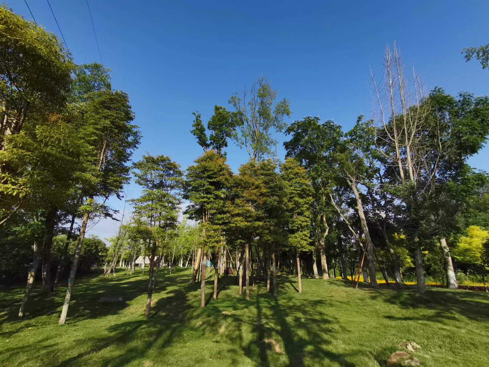 天府新区天府花香谷,成都天府新区花谷