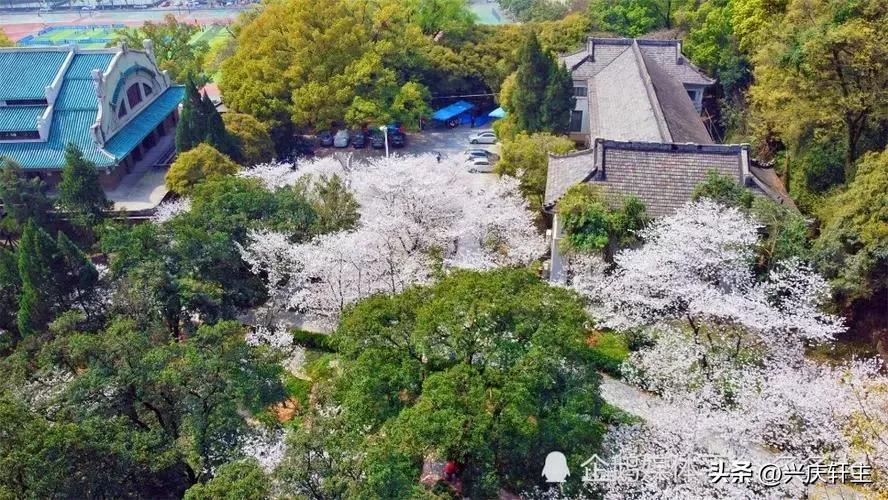 为这所大学点赞！那年那地那校，疫中的那批毕业生成为最幸福的人