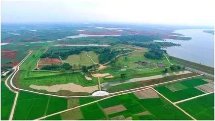 豆角农药中毒,长豆角中毒事件