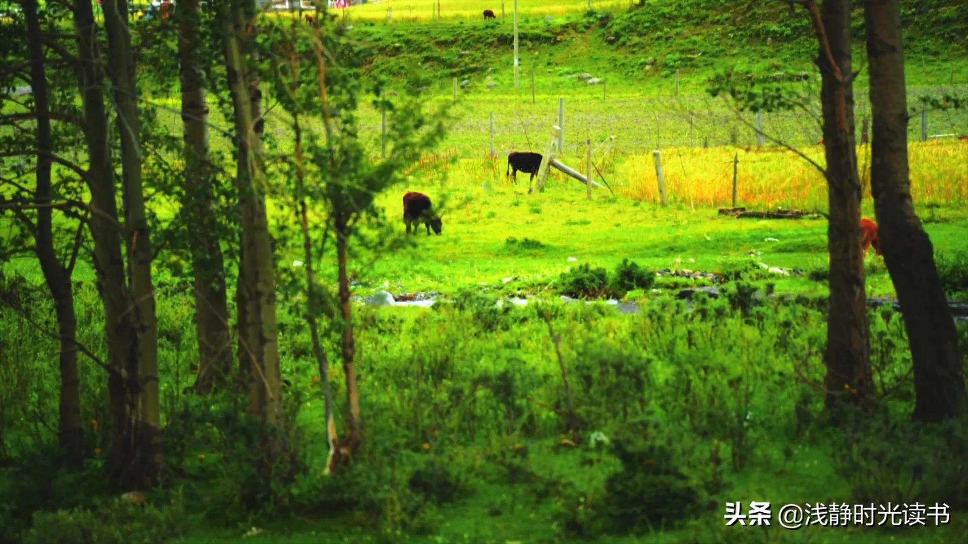 古人遇到小人,古人是如何识人和应对小人的