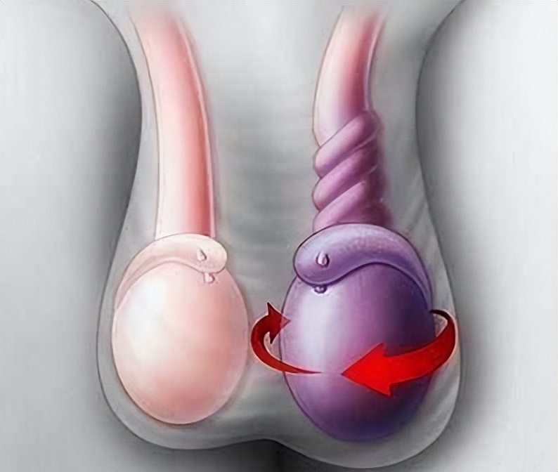 有一种闲叫闲得蛋疼,有一种疼叫闲得蛋疼