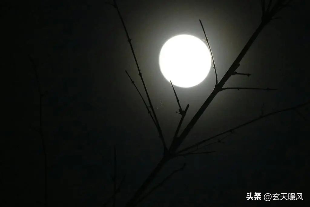 传统武术气功的练法,内练一口气外练筋骨武术歌