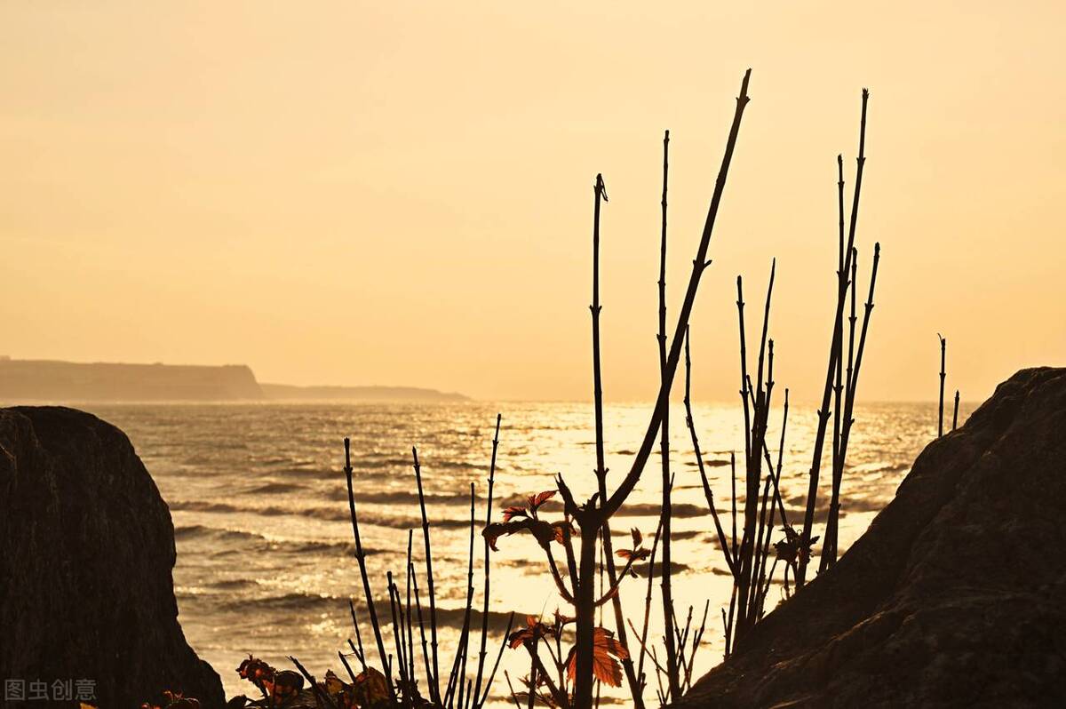 记叙文描写人物的作文,关于细节描写的记叙文